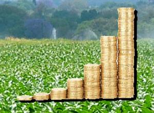 BioethanolTermelésMegtérülés