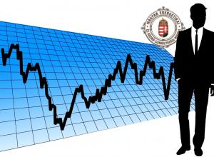 energetikai szakreferens