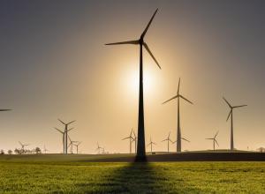 Megújulókra vált a világ legnagyobb sörgyártója