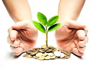 Klímasemleges növénytermesztés